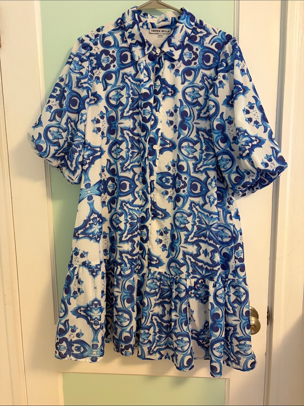 Blue & White Printed Casual Button-Front Dress